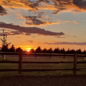 Meet your Posher, Kris